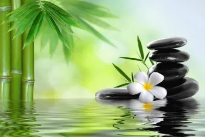 èŠ±æ°´å½±