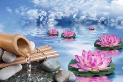èŠ±æ°´å½± jigsaw puzzle