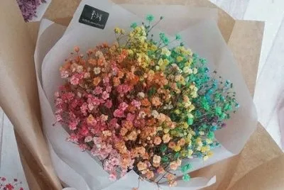 003 jigsaw puzzle