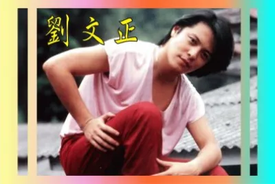 å°ç£ åŠ‰æ–‡æ­£