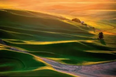 hills