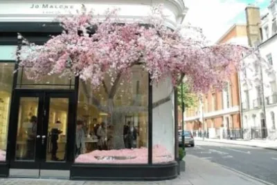 Lugares MÃ gicos !!!