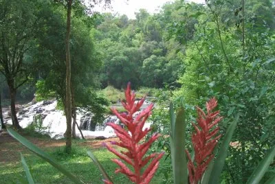misiones argentina