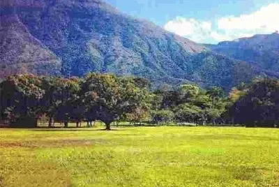 Cerro El Ãvila, Caracas, Venezuela jigsaw puzzle