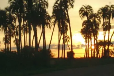 Atardecer en el Palmar