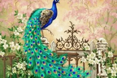 peacock