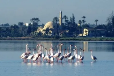 Larnaca Chypre