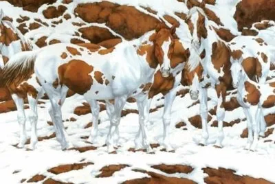 Camo
