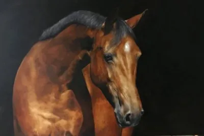 Brown horse