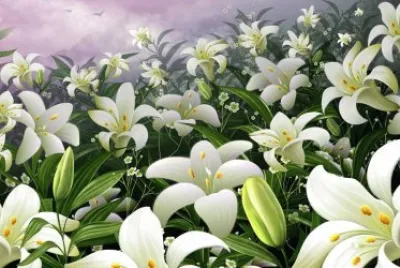 pretty flowers