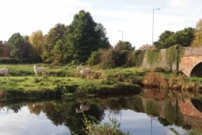 Moors bridge.   Lisburn. co Antrim