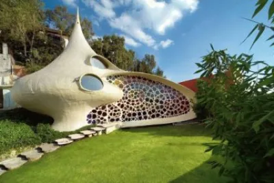 nautilus