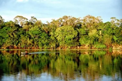floresta