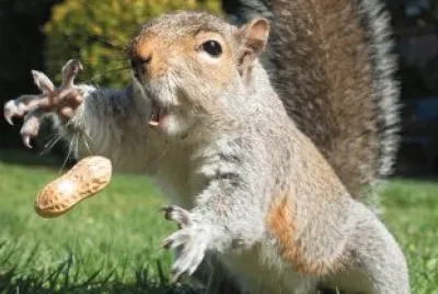 Perfectly Timed Photo jigsaw puzzle