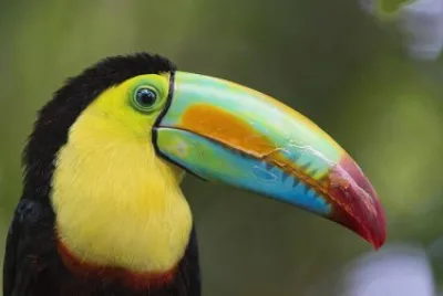 natureza