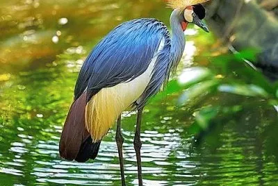 natureza