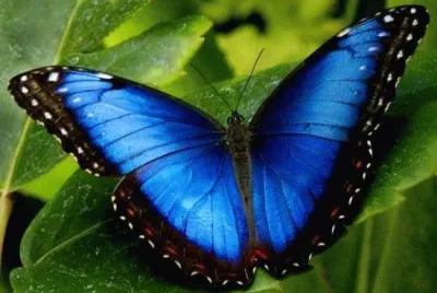 natureza