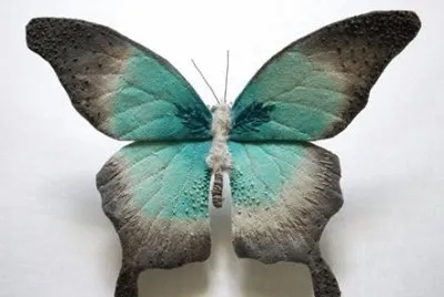 natureza