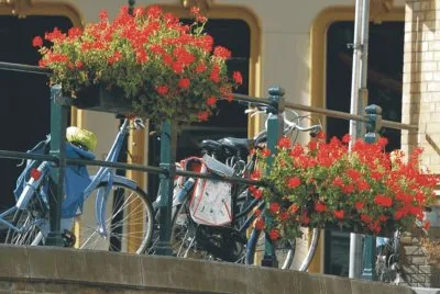 Bicycles with flowers