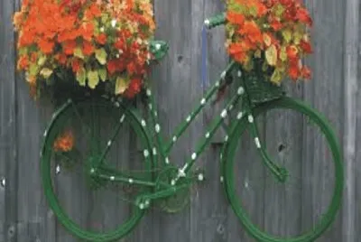 Bicycles with flowers
