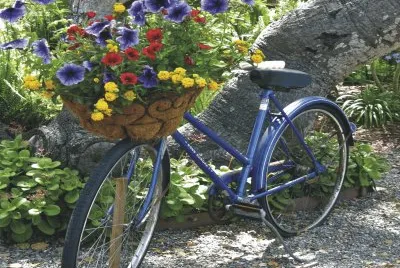 Bicycles with flowers