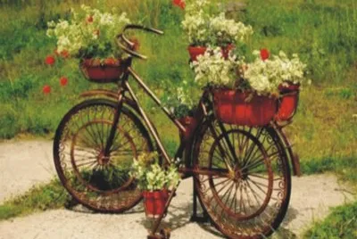 Bicycles with flowers
