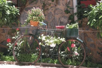 Bicycles with flowers
