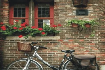 Bicycles with flowers