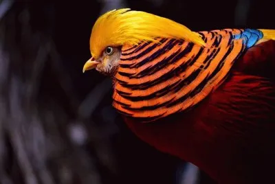 natureza