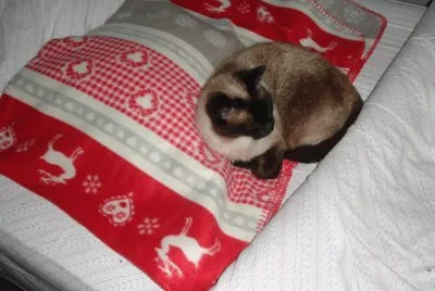 la sieste de mia