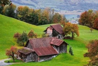 5 jigsaw puzzle