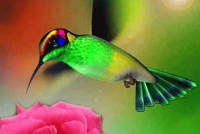 natureza