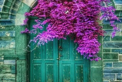 imagem jigsaw puzzle