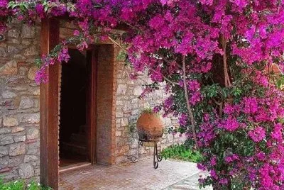 imagem jigsaw puzzle