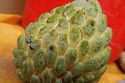 frutas