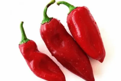 temperos