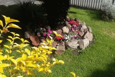 flores