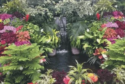 garden with lake