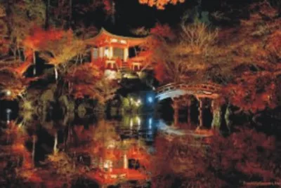 garden with lake