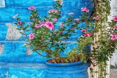 imagem jigsaw puzzle