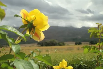 san luis argentina