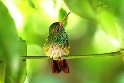 natureza