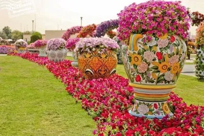 arte