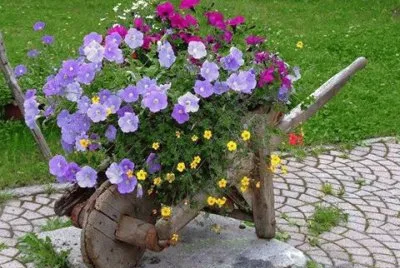 flores
