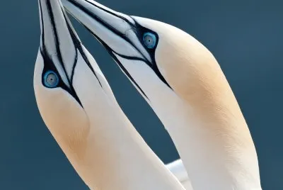 natureza