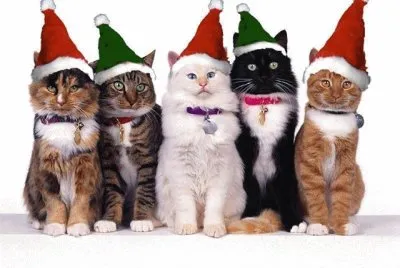 natal