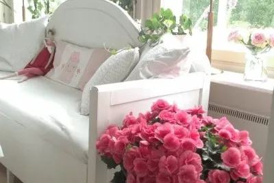 flores