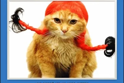 Â¡Â¡ME  PARECIÃ“  VER  UN  LINDO  GATITO!!