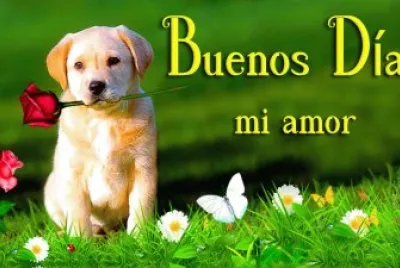 bon dia jigsaw puzzle