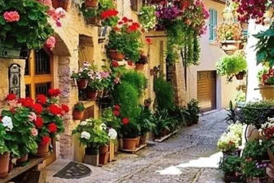 Lugares MÃ gicos !!!